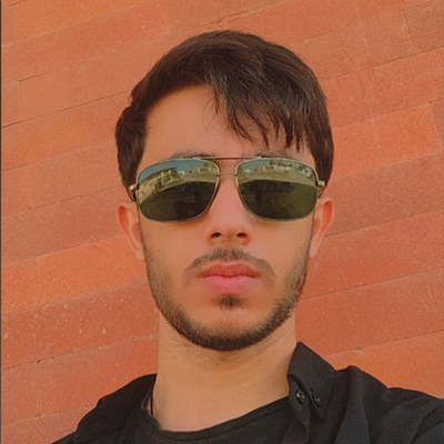 محمد محمدی